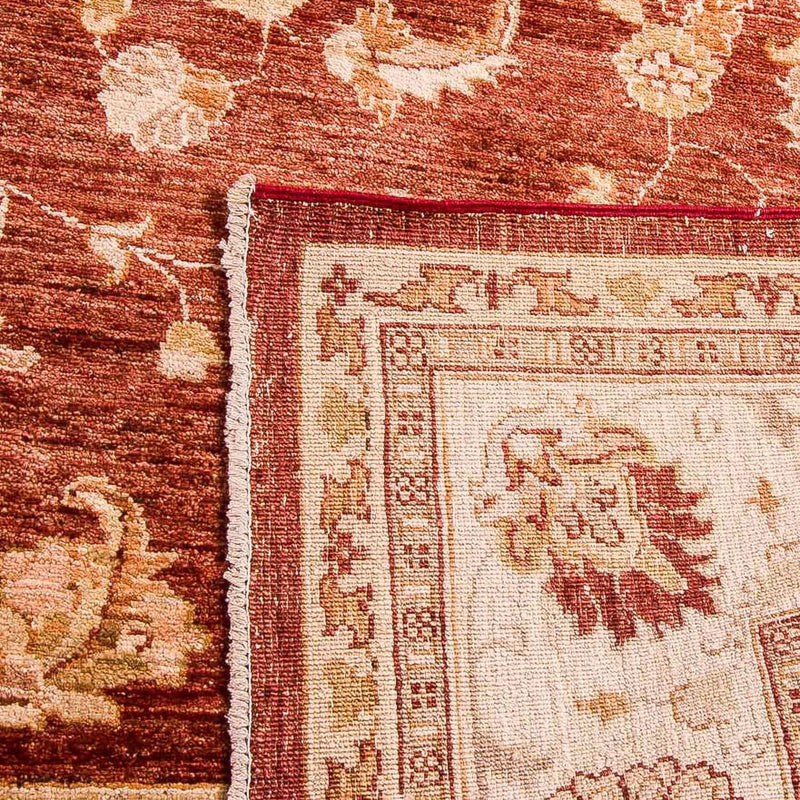 Ziegler Teppich 276 x 208 cm