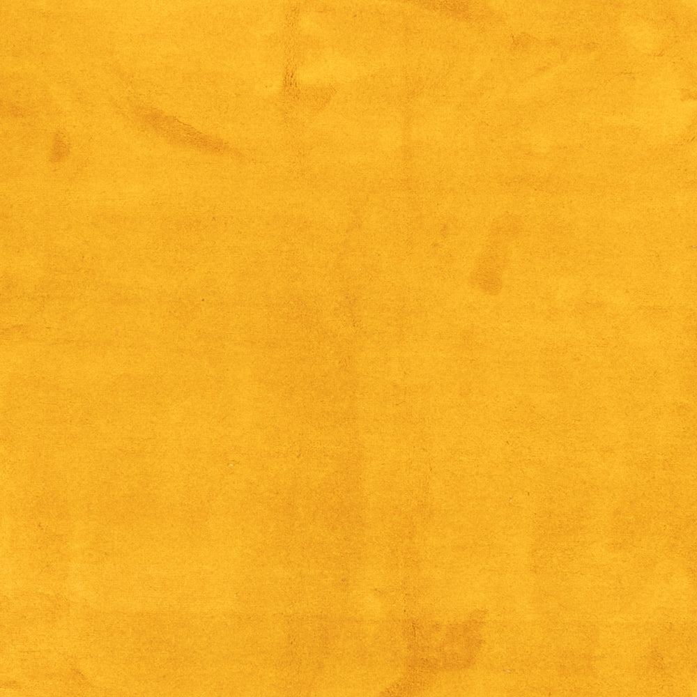 Gabbeh Teppich - Indus - 389 x 300 cm - gold