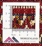 Turkaman Teppich 100 x 50 cm - rot