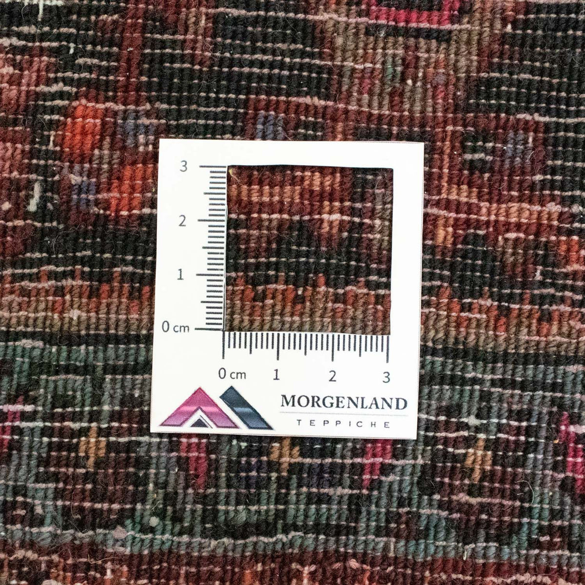 Perserteppich - Bidjar 244 x 146 cm