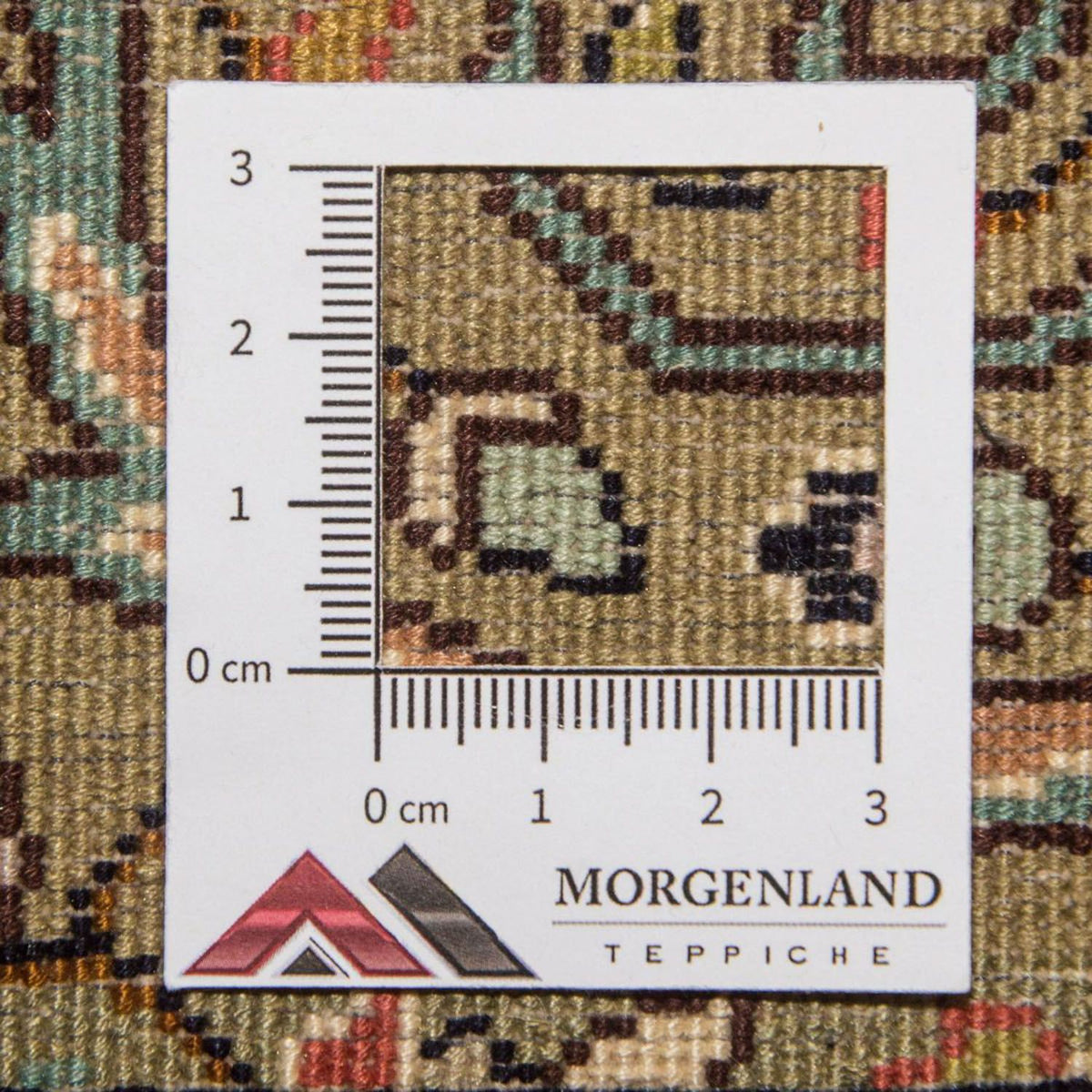 Seidenteppich - Kaschmir Seide 244 x 168 cm Teppich Wohnzimmer