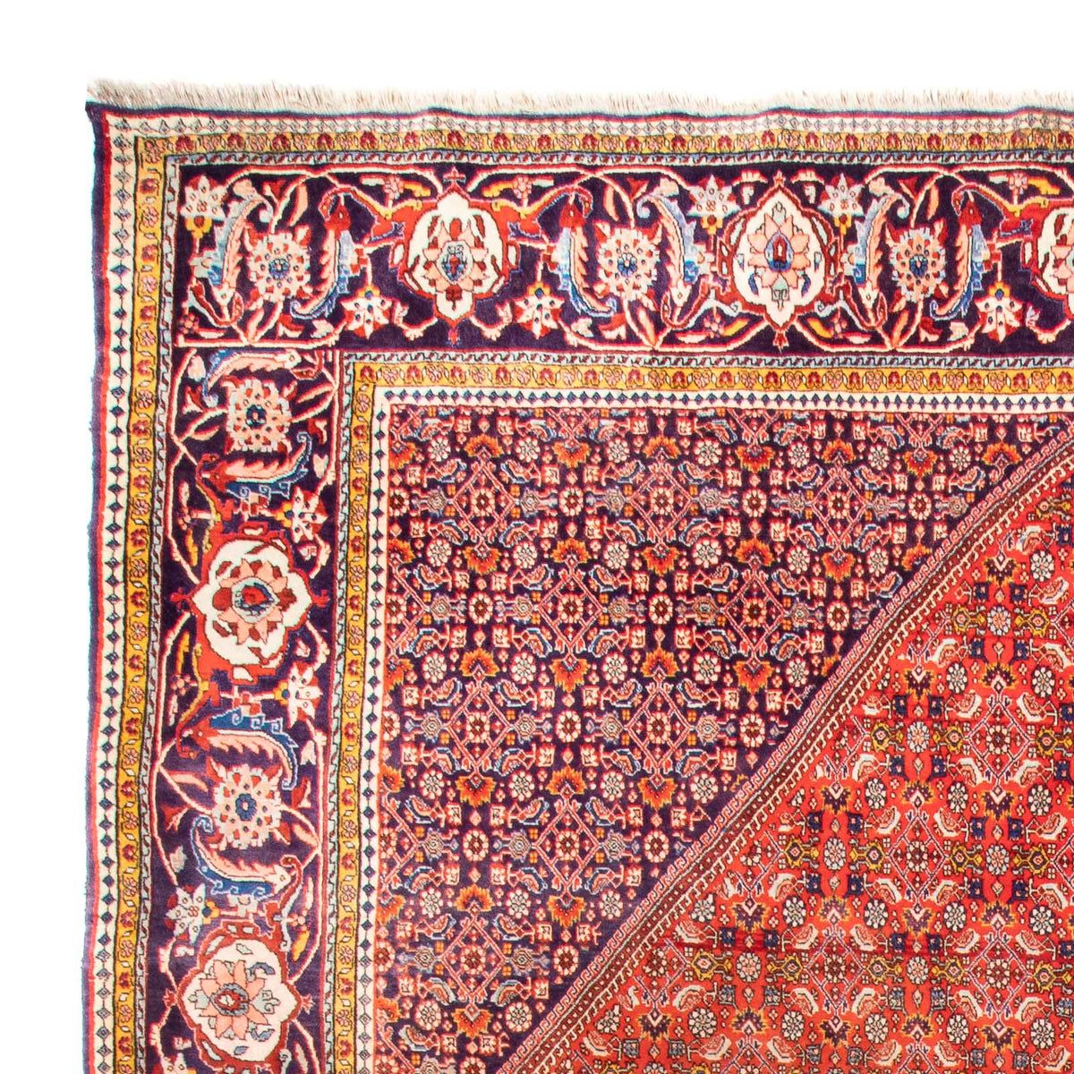 Perserteppich - Bidjar - 420 x 310 cm - terrakotta