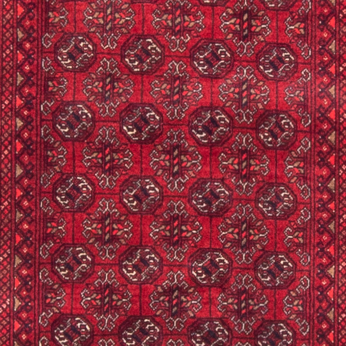 Läufer Afghan - Buchara - 290 x 80 cm - rot