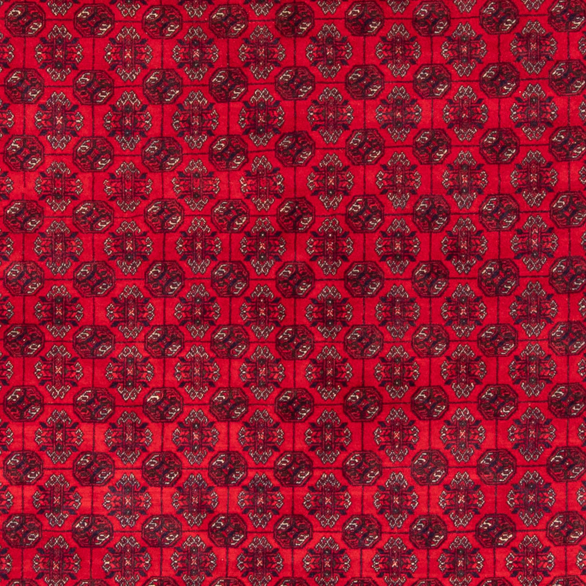 Afghan Teppich - Buchara - 290 x 196 cm - rot