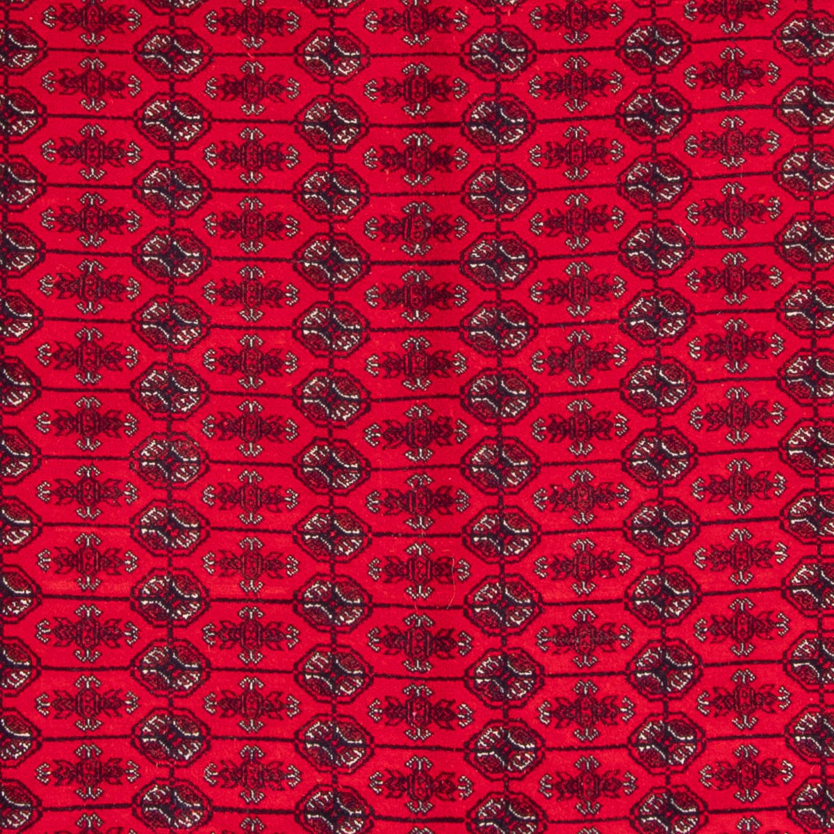 Afghan Teppich - Buchara - 292 x 200 cm - rot