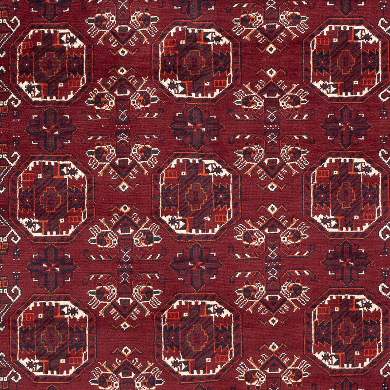 Afghan Teppich - Buchara - 290 x 201 cm - dunkelrot
