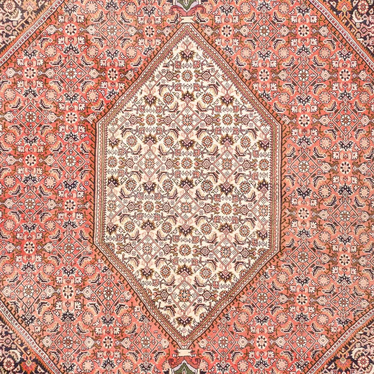Perserteppich - Bidjar - 287 x 198 cm - hellrot