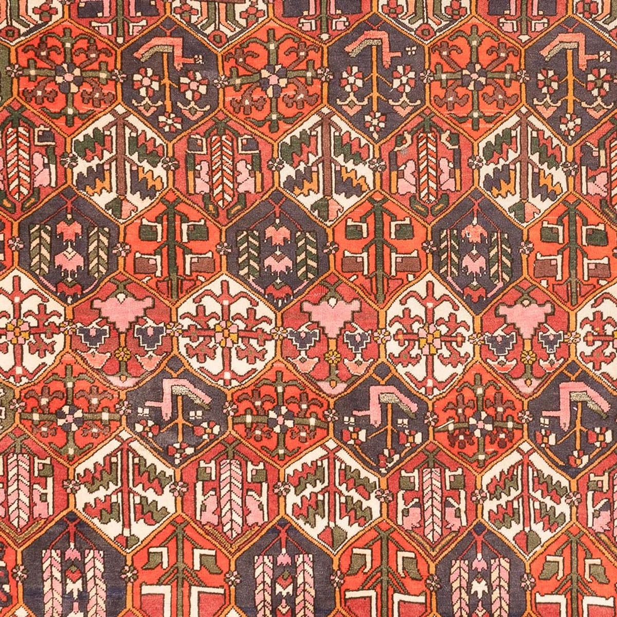Perserteppich - Nomadic - 310 x 210 cm - terrakotta