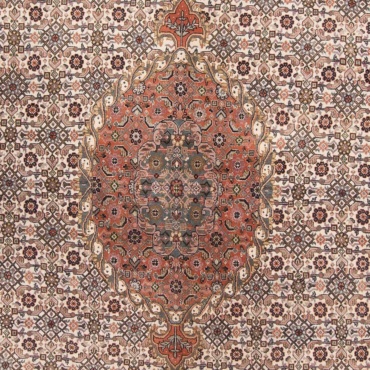 Orientteppich - Bidjar - Indus 338 x 243 cm
