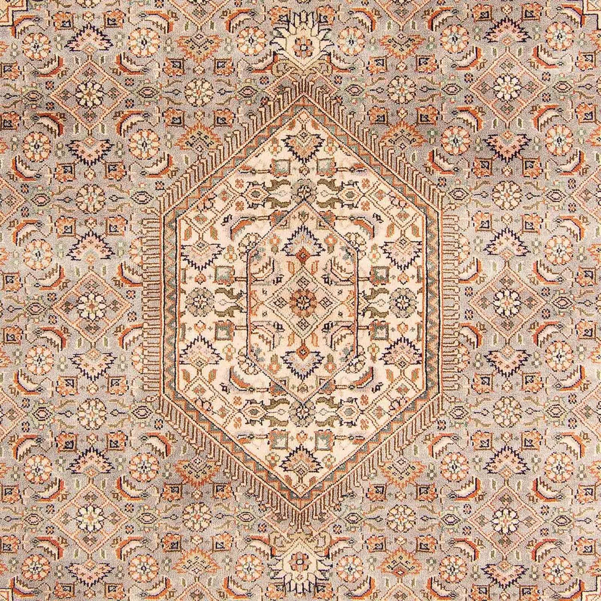 Orientteppich - Bidjar - Indus 242 x 169 cm