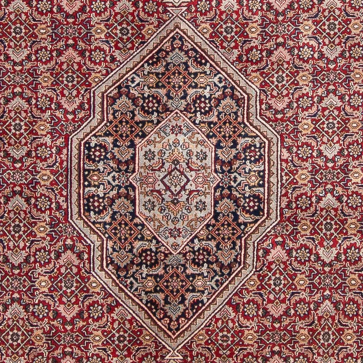 Orientteppich - Bidjar - Indus 336 x 246 cm