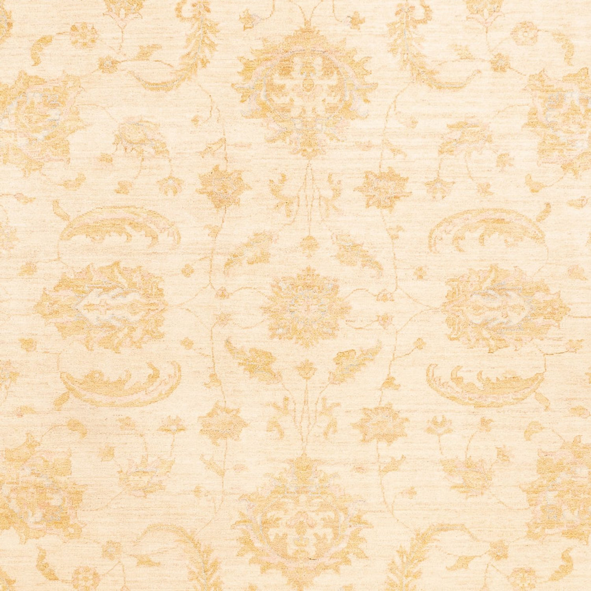 Ziegler Teppich - 342 x 255 cm - beige