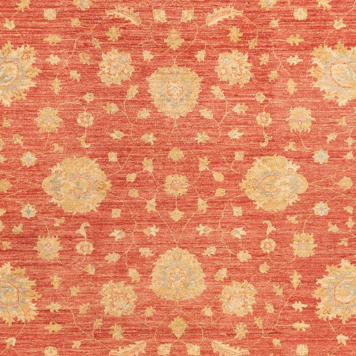 Ziegler Teppich - 344 x 257 cm - rot