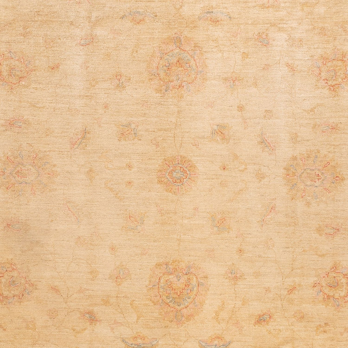 Ziegler Teppich - 350 x 252 cm - beige