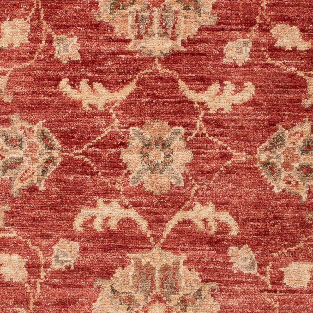 Ziegler Teppich - 122 x 84 cm - rot
