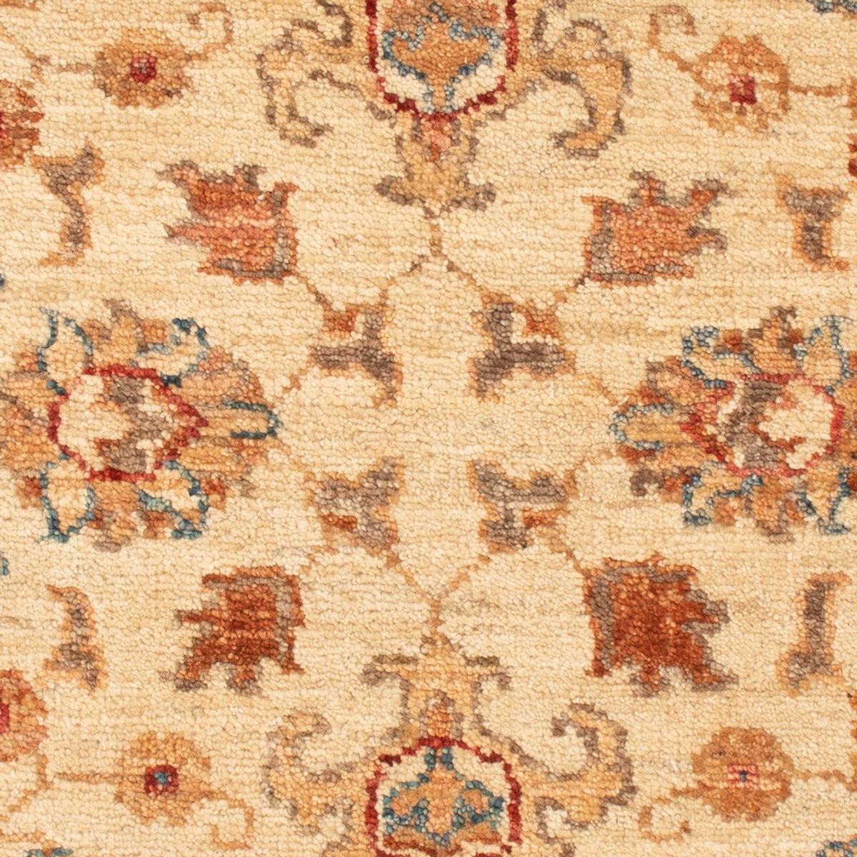 Ziegler Teppich - 88 x 61 cm - beige