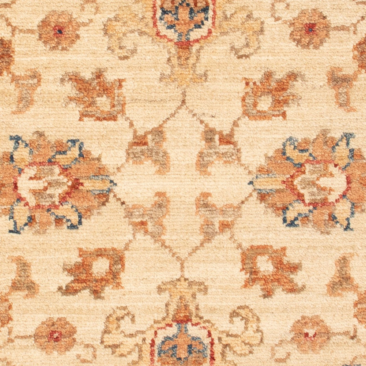 Ziegler Teppich - 87 x 62 cm - beige