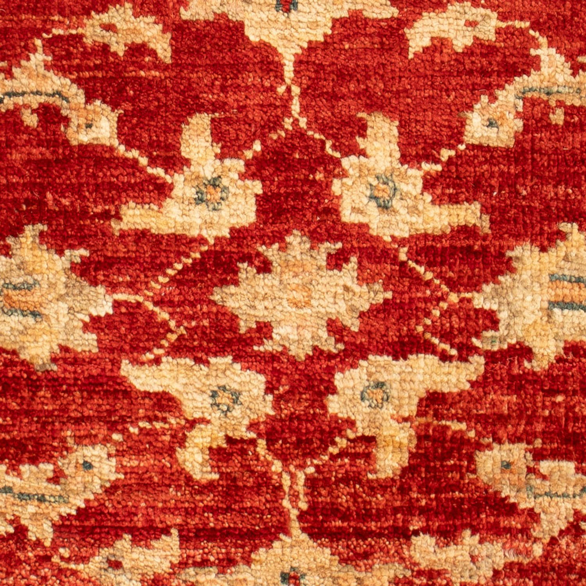 Ziegler Teppich - 61 x 43 cm - rot