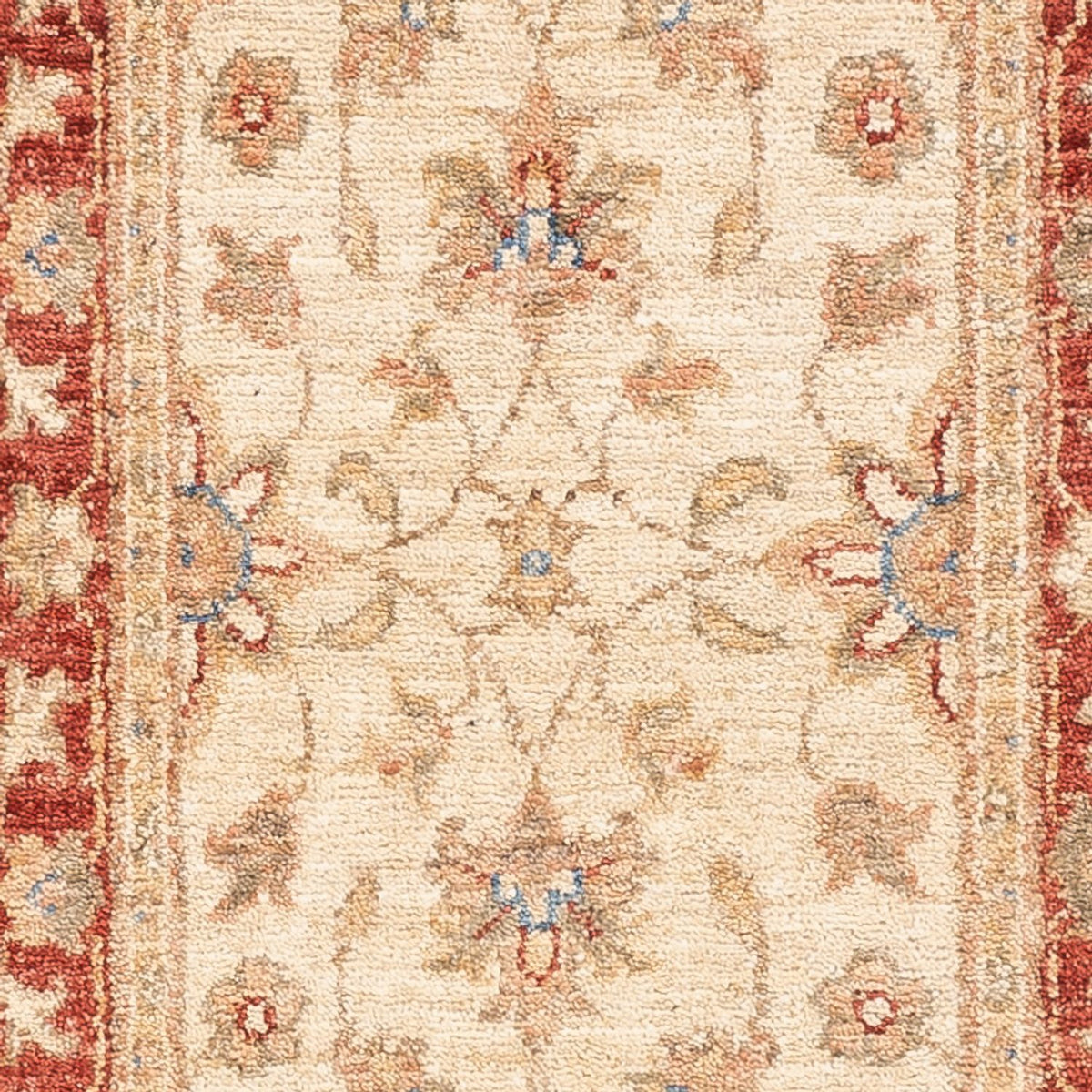 Läufer Ziegler - 157 x 49 cm - beige