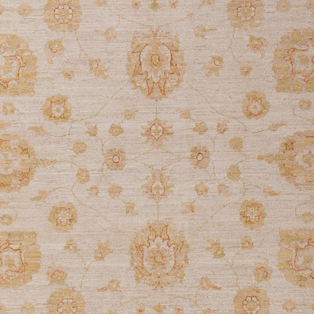 Ziegler Teppich - 293 x 204 cm - beige