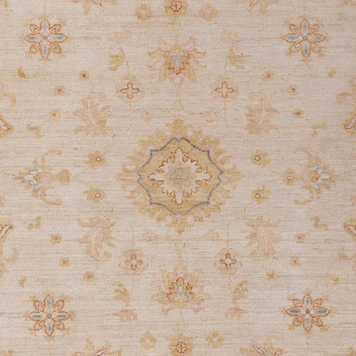 Ziegler Teppich - 288 x 212 cm - beige