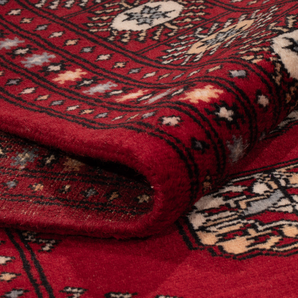 Pakistan Teppich - 241 x 154 cm - rot