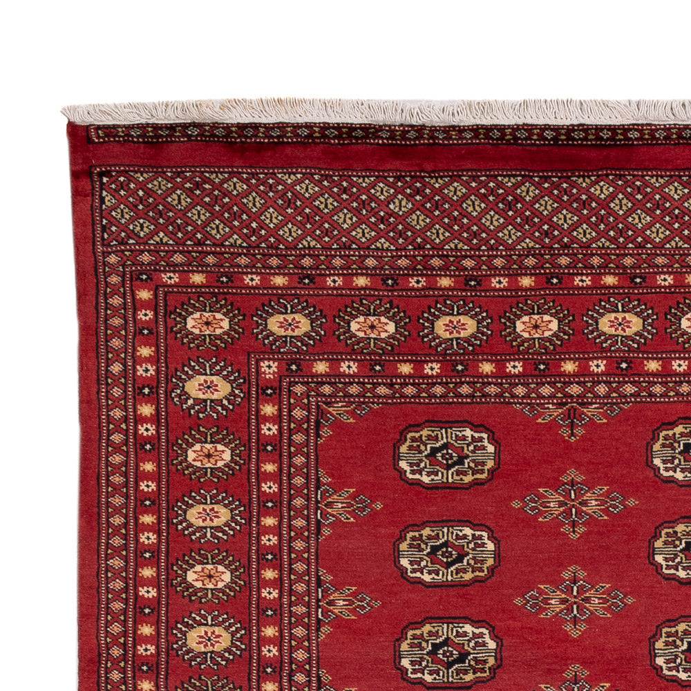 Pakistan Teppich - 241 x 173 cm - rot