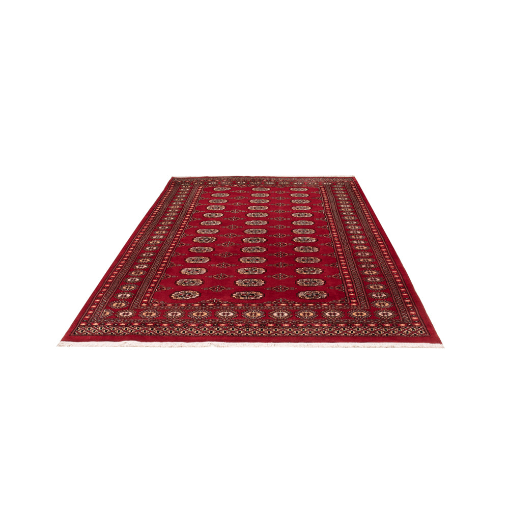 Pakistan Teppich - 266 x 167 cm - rot