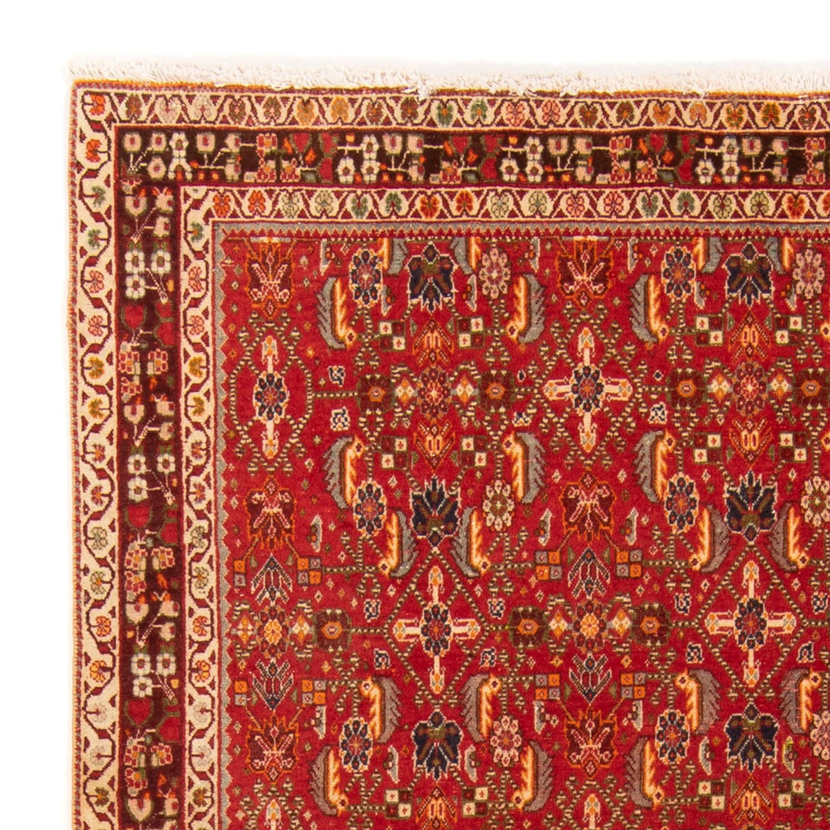 Gabbeh Teppich - Kaschkuli Perser - 192 x 130 cm - rot