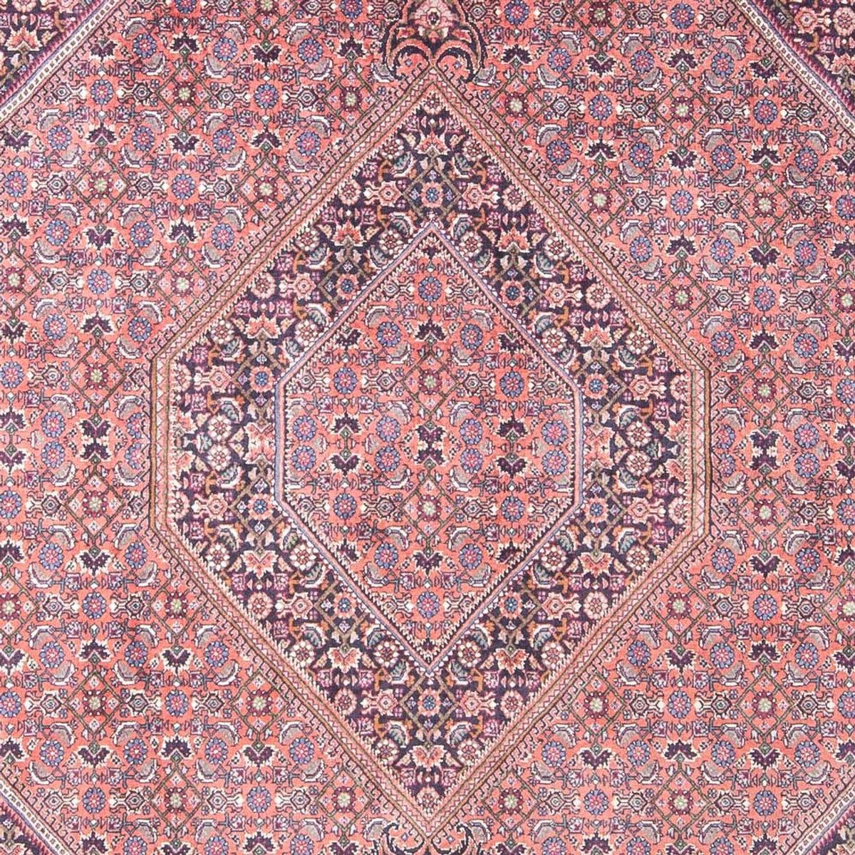 Perserteppich - Bidjar - 240 x 145 cm - hellrot