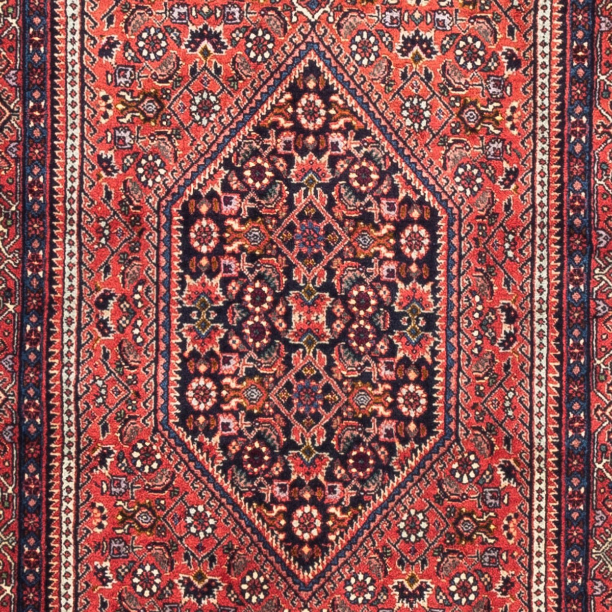 Läufer Perser - Bidjar - 226 x 77 cm - rot