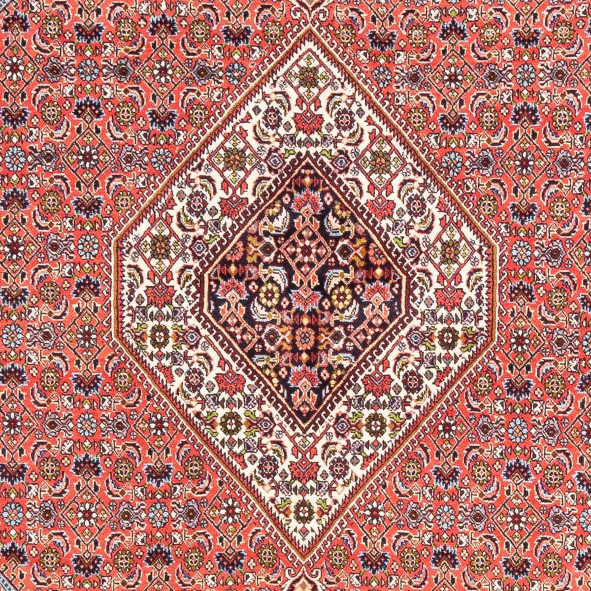 Perserteppich - Bidjar - 243 x 170 cm - rot