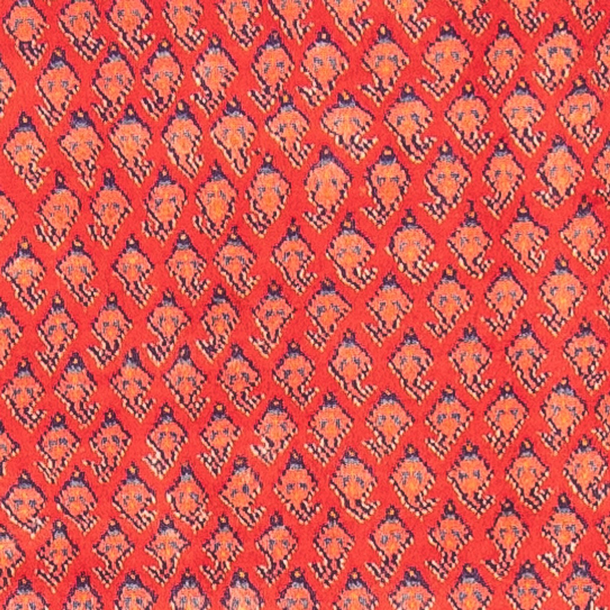 Läufer Perser - Nomadic - 323 x 108 cm - rot