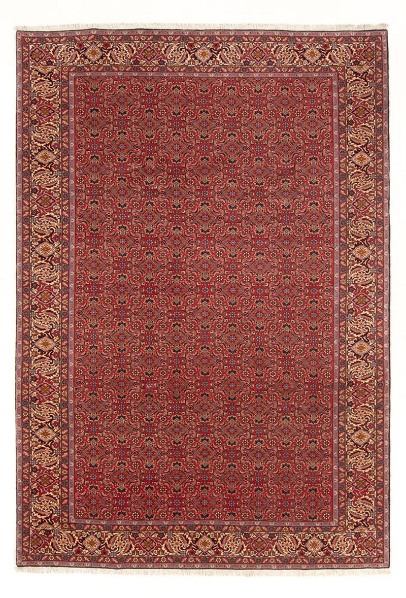 Perserteppich - Bidjar - Royal - 296 x 197 cm - rot