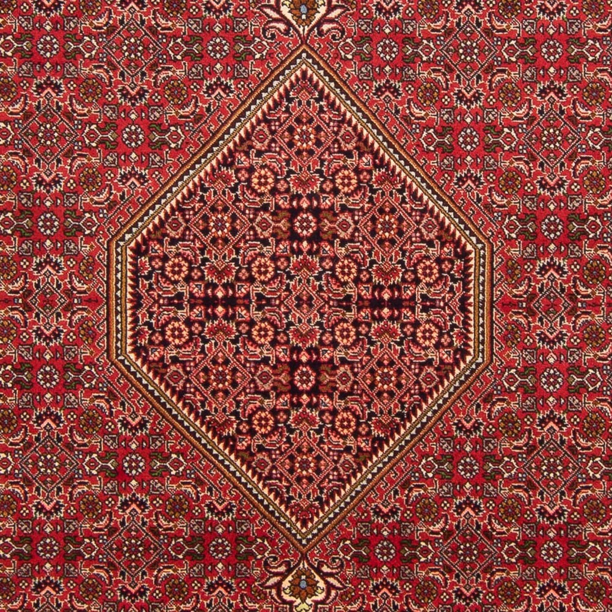Perserteppich - Bidjar - Royal - 290 x 192 cm - rot