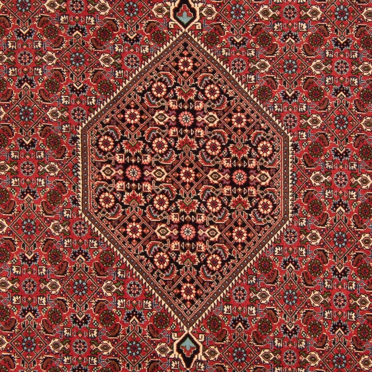 Perserteppich - Bidjar - Royal - 293 x 200 cm - rot