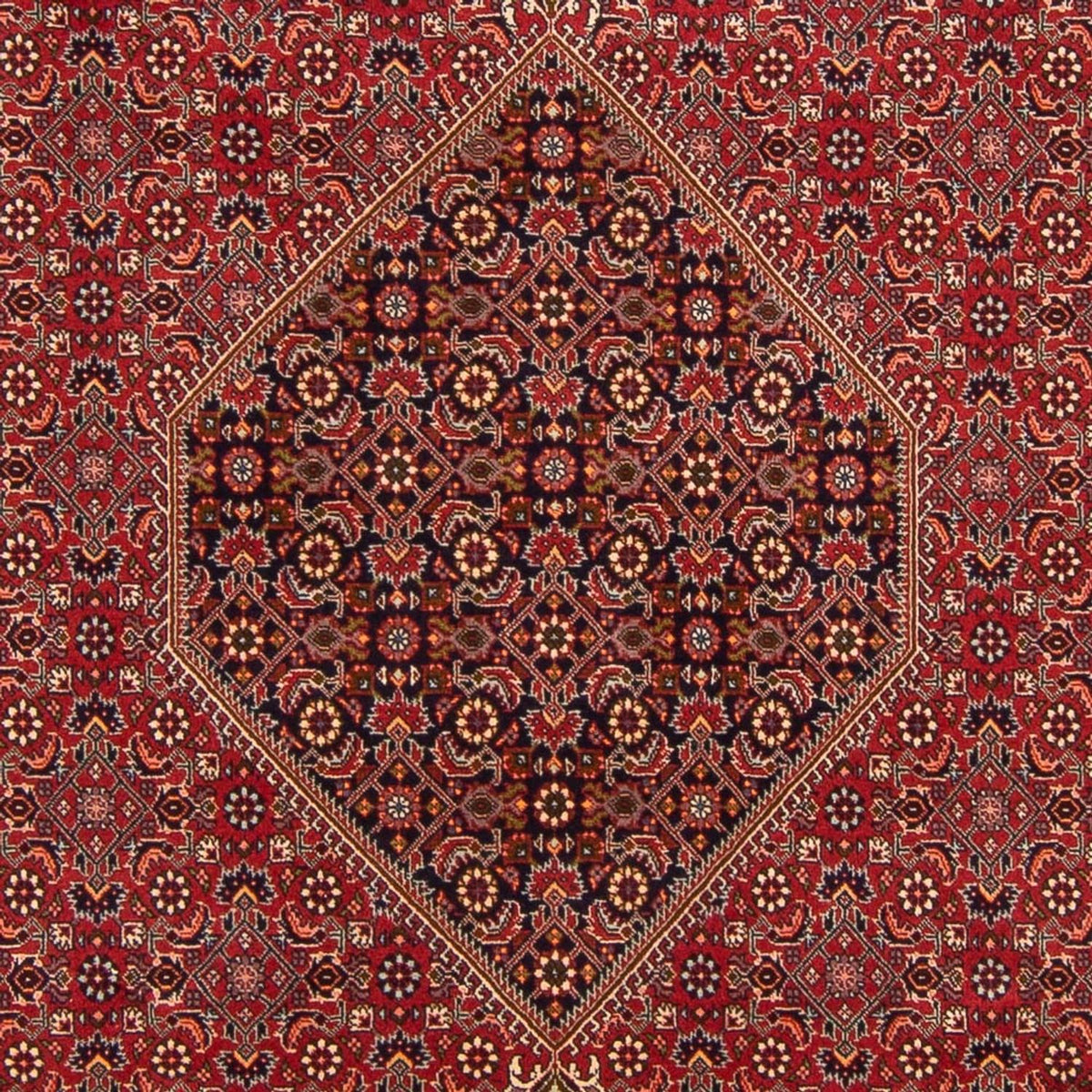 Perserteppich - Bidjar - Royal - 300 x 201 cm - rot