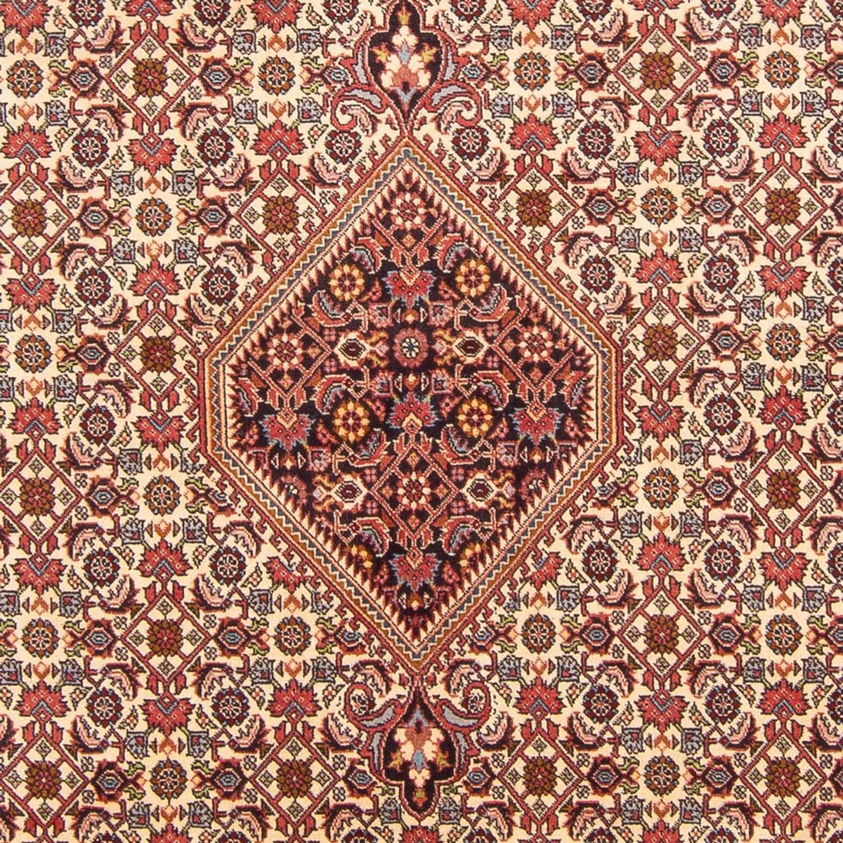 Perserteppich - Bidjar - Royal - 298 x 200 cm - rot