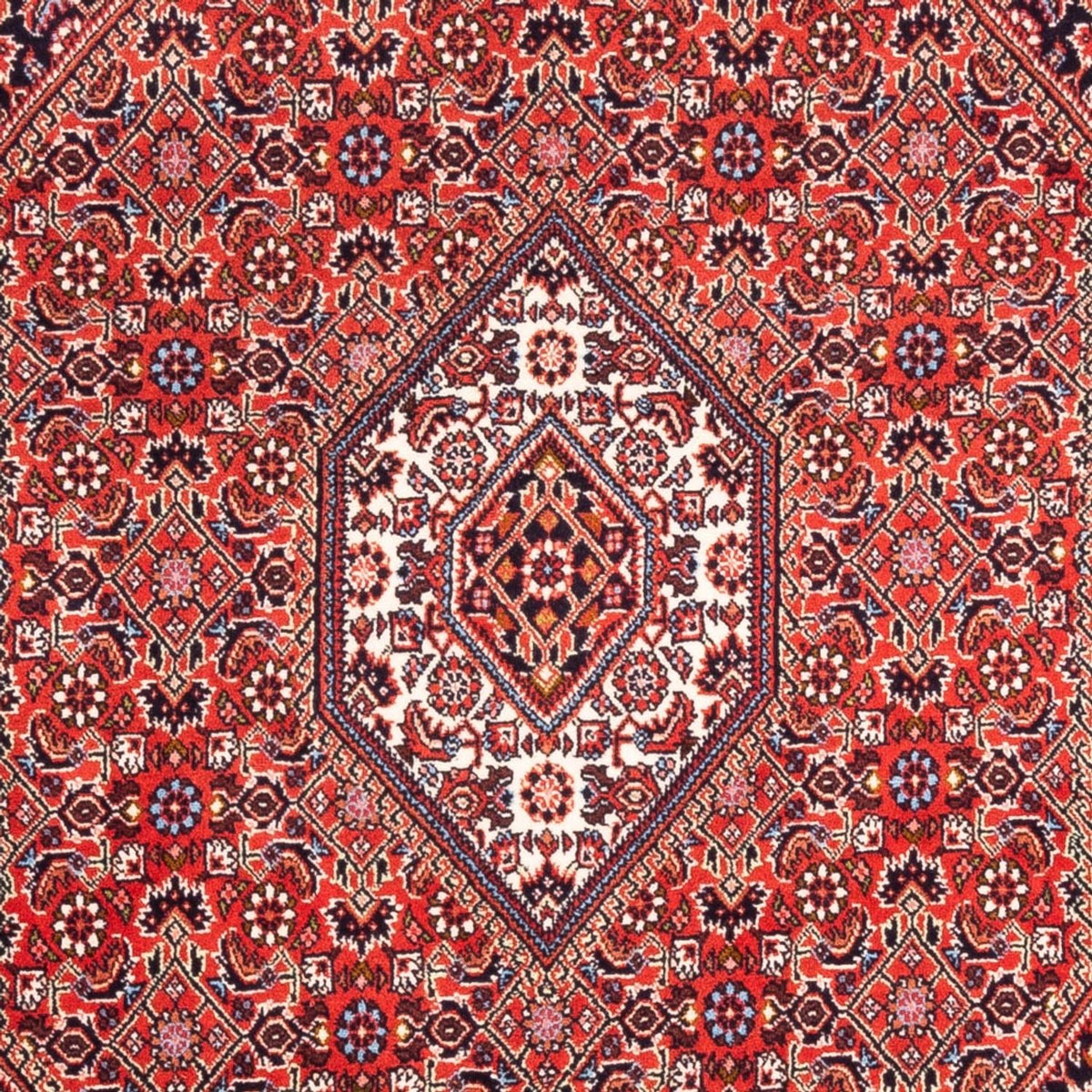 Perserteppich - Bidjar - Royal - 180 x 108 cm - rot