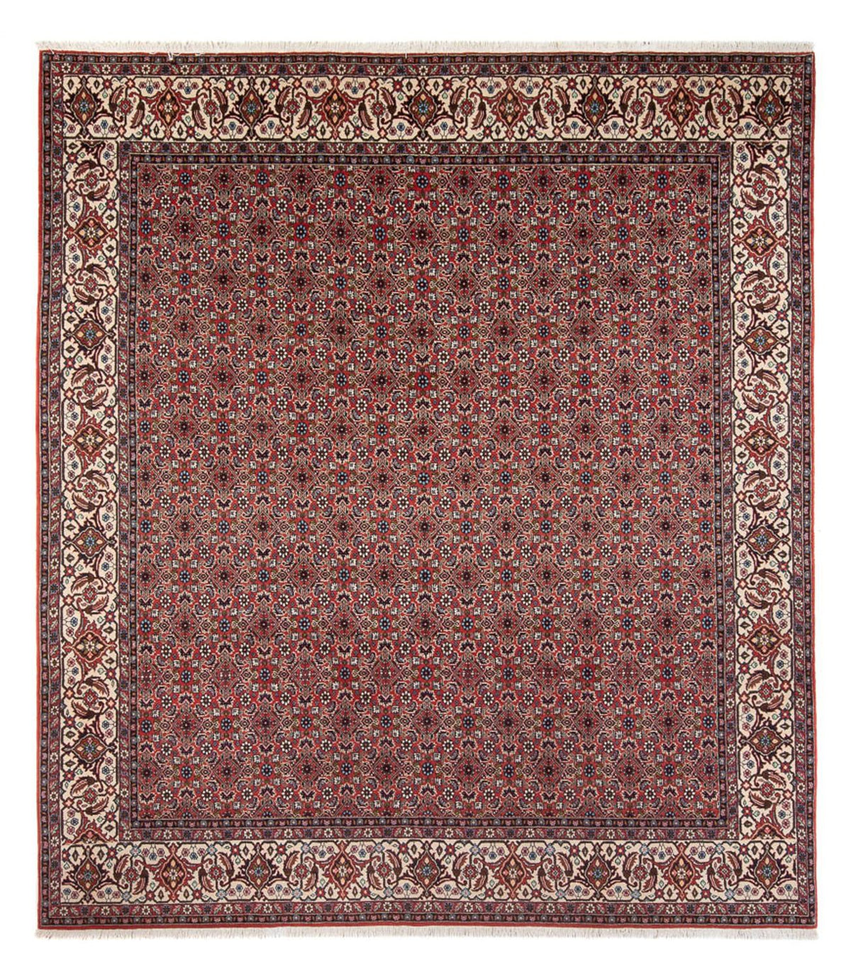 Perserteppich - Bidjar - Royal - 296 x 248 cm - dunkelrot