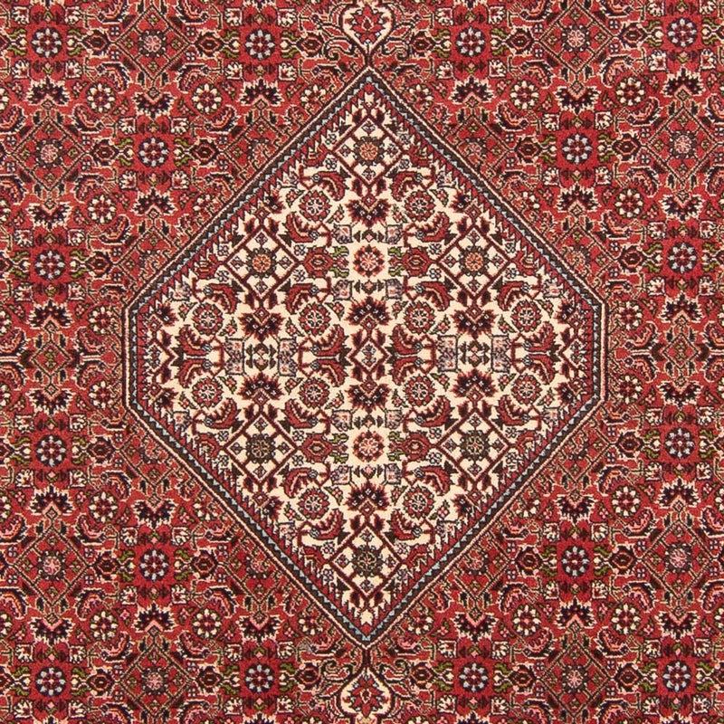Perserteppich - Bidjar - Royal - 290 x 202 cm - rot