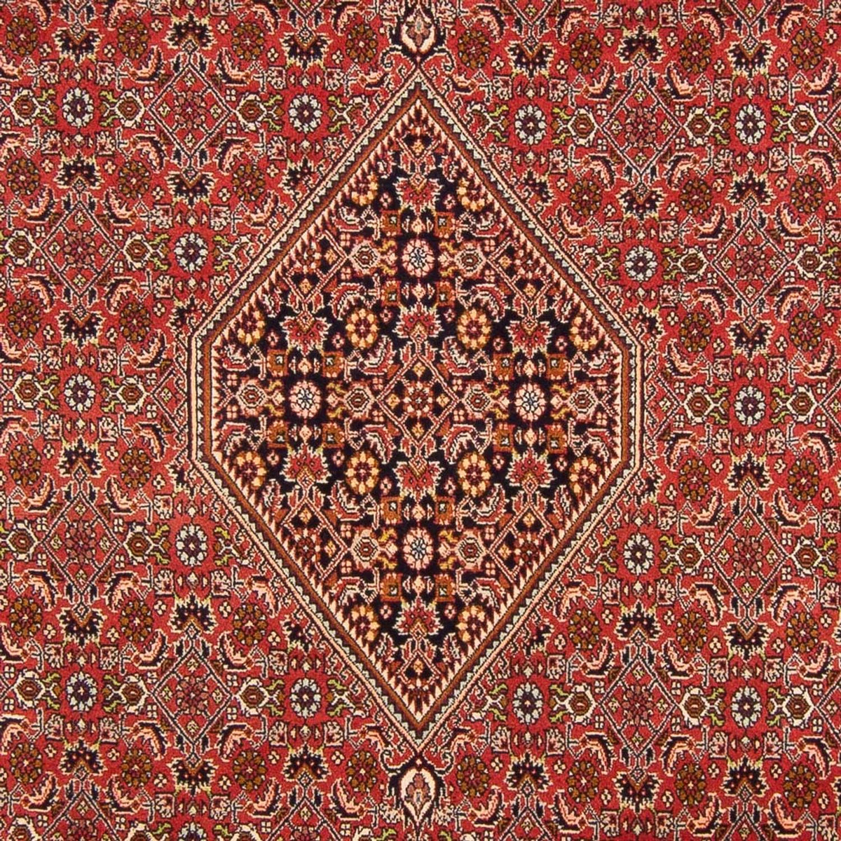 Perserteppich - Bidjar - Royal - 290 x 200 cm - rot