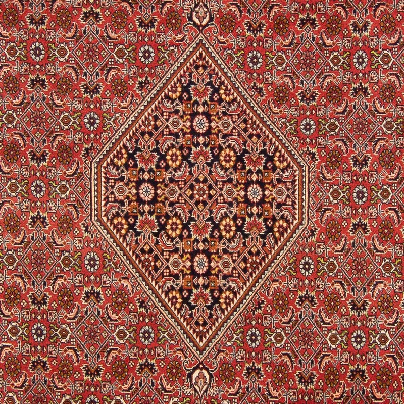 Perserteppich - Bidjar - Royal - 290 x 200 cm - rot