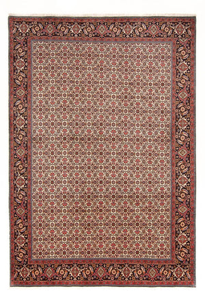 Perserteppich - Bidjar - Royal - 290 x 200 cm - creme