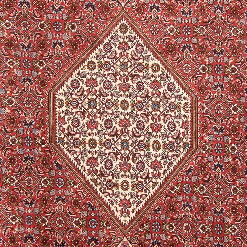 Perserteppich - Bidjar - Royal - 310 x 203 cm - rot