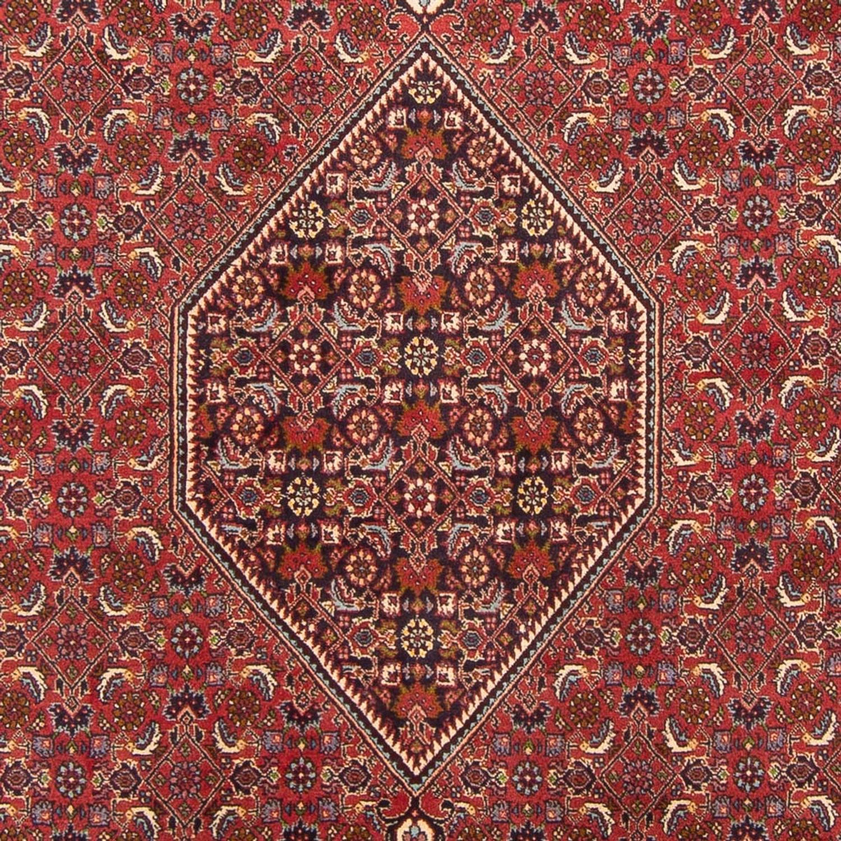 Perserteppich - Bidjar - Royal - 301 x 200 cm - rot