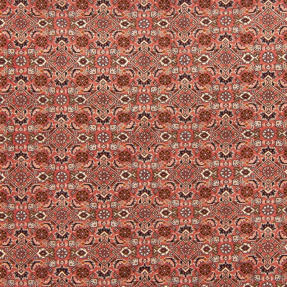 Perserteppich - Bidjar - Royal - 288 x 202 cm - rot