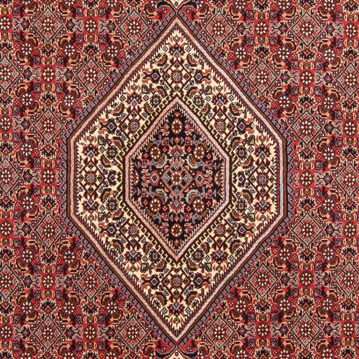 Perserteppich - Bidjar - Royal - 294 x 200 cm - rot