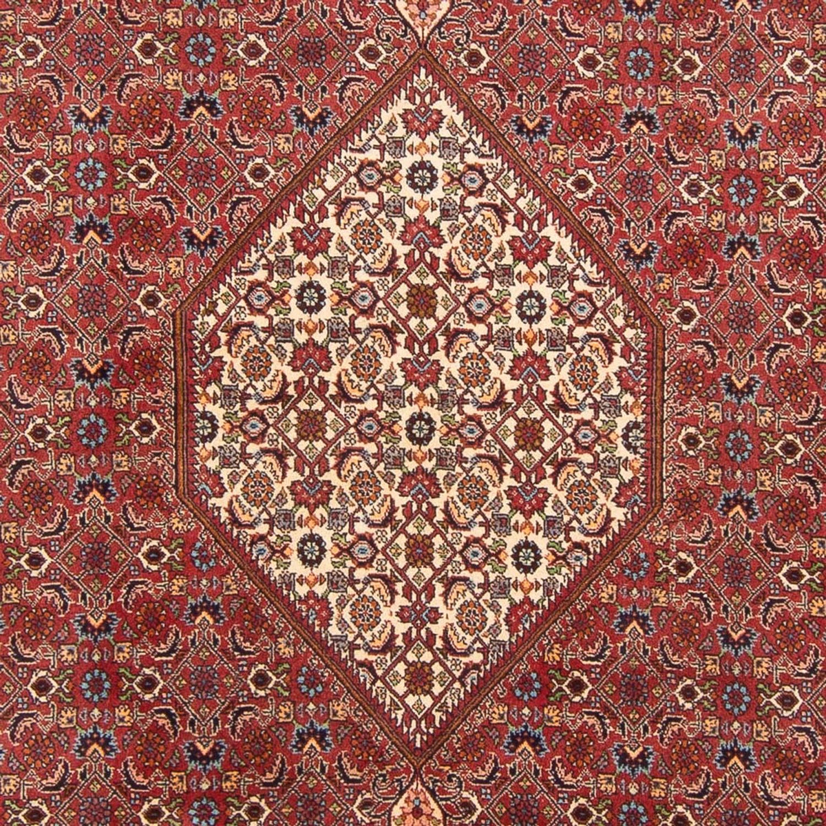 Perserteppich - Bidjar - Royal - 303 x 200 cm - rot
