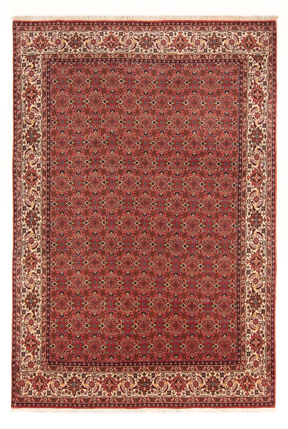 Perserteppich - Bidjar - Royal - 289 x 195 cm - rot
